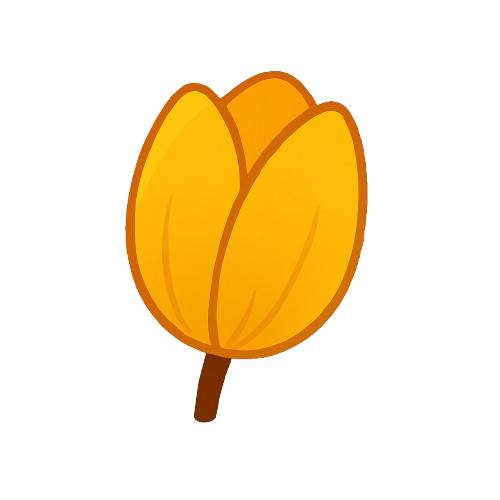 Tulip Gift